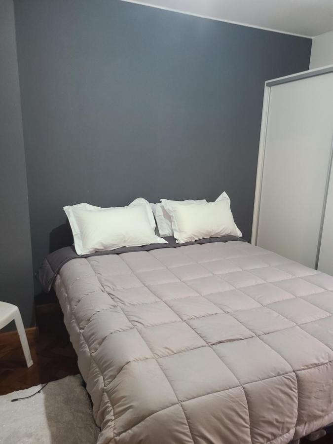 Appartement Departamento Centrico, Pasos Peatonal à Mendoza Extérieur photo